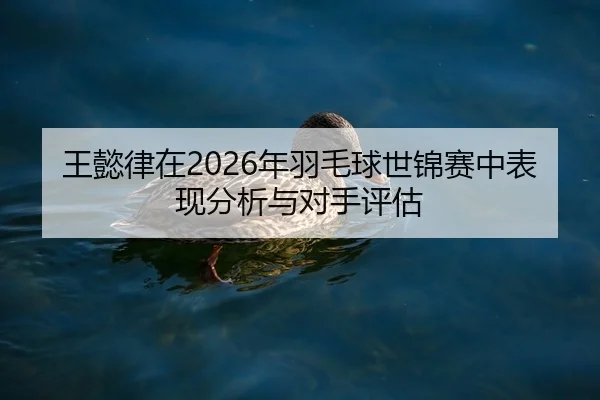 wang-yi-lv-zai-nian-yu-mao-qiu-shi-jin-sai-zhong-biao-xian-fen-xi-yu-dui-shou-ping-gu-2-923.jpg
